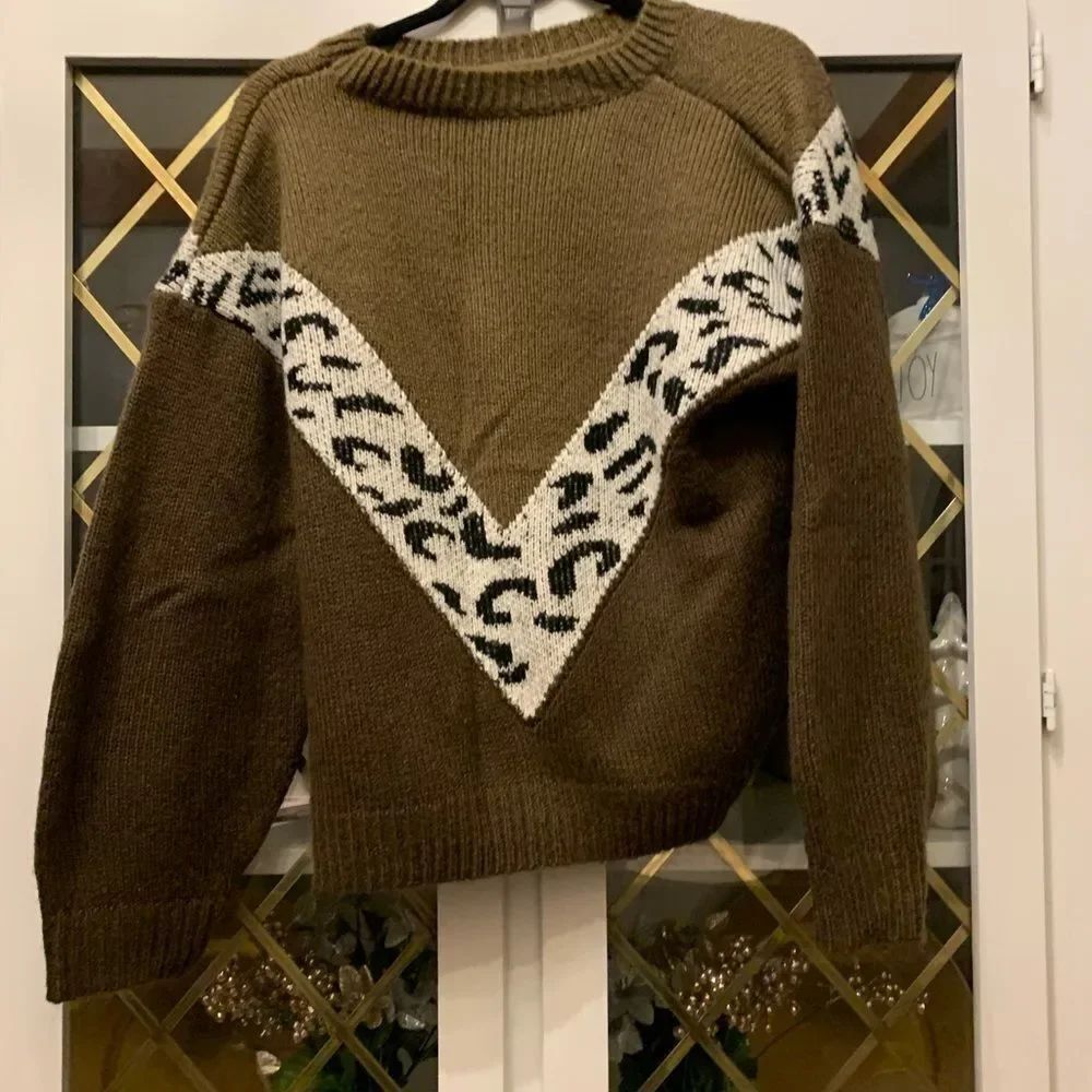Leopard & Chevron Pattern Drop Shoulder Sweater - Picture 5 of 8